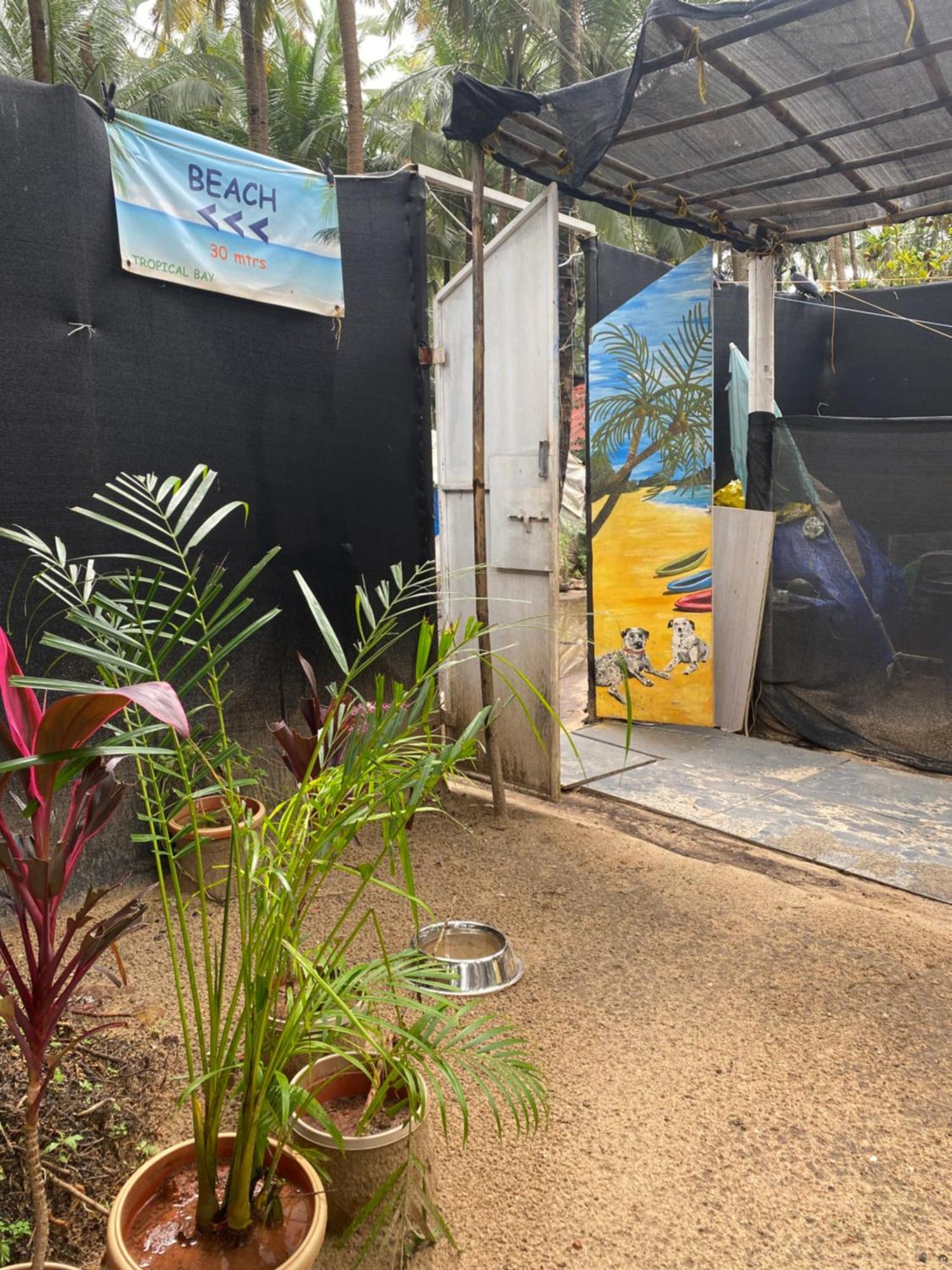 帕罗林 Tropical Bay旅舍 外观 照片
