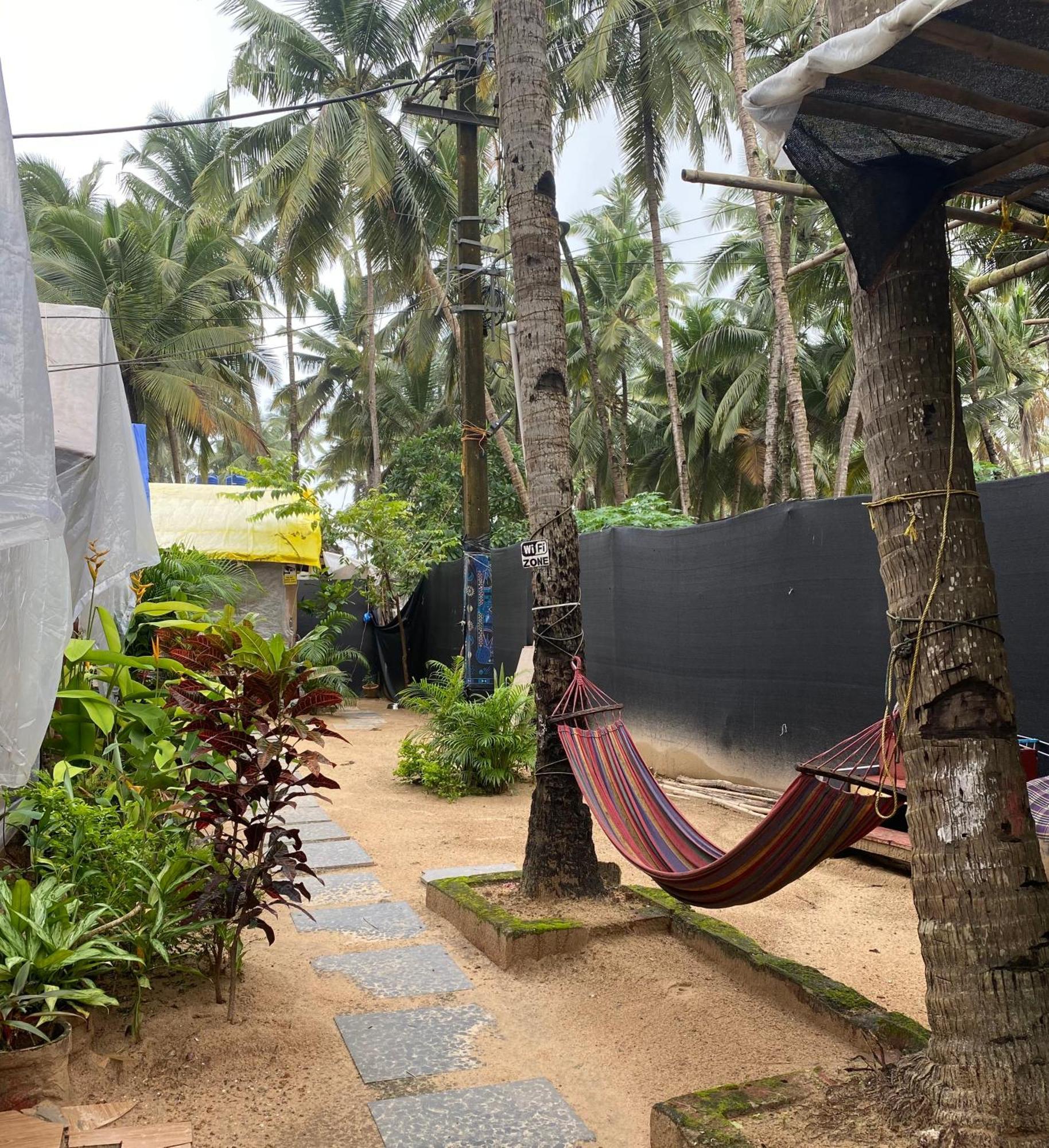 帕罗林 Tropical Bay旅舍 外观 照片
