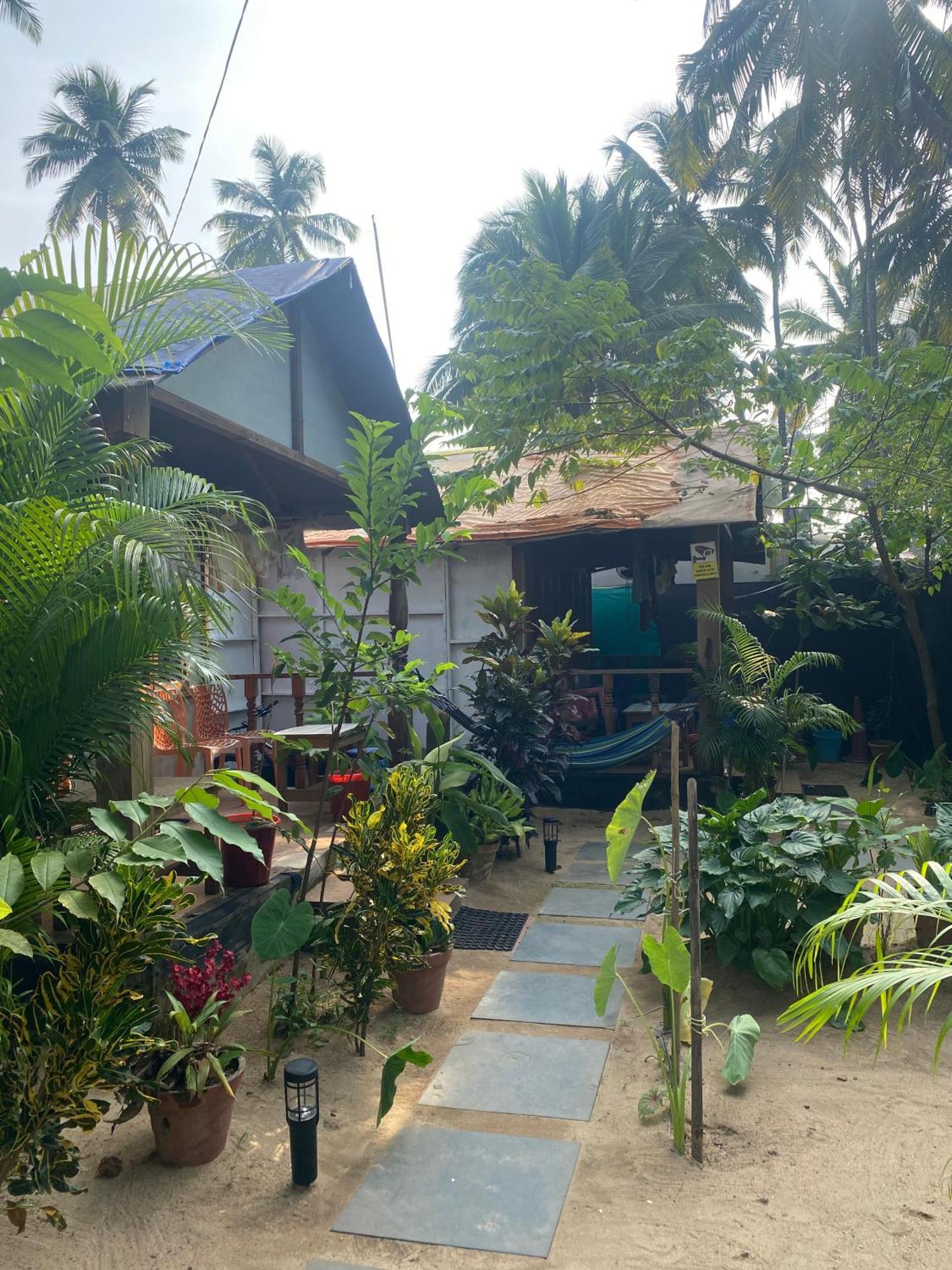 帕罗林 Tropical Bay旅舍 外观 照片